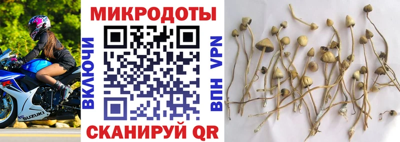 Псилоцибиновые грибы Psilocybe  наркота  Багратионовск 